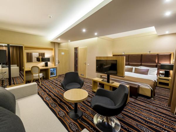 Aquaticum Debrecen Termal & Wellness Hotel : photo 1 de la chambre suite junior