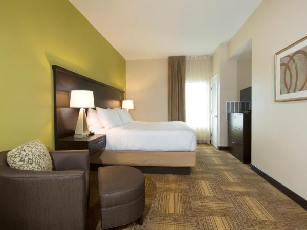 Staybridge Suites Orlando at SeaWorld, an IHG Hotel : photo 4 de la chambre suite 1 chambre lit king-size - baignoire accessible aux personnes à mobilité réduite - sans frais de service 
