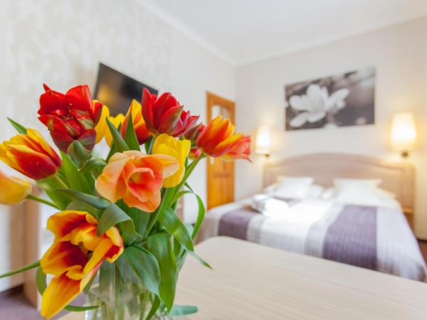 Villa Anna Gdańsk - Noclegi B&B, FREE parking : photo 8 de la chambre appartement deluxe