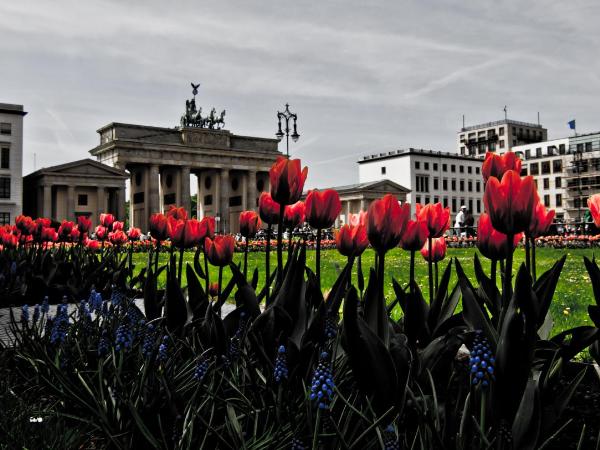 BNB Potsdamer Platz - Rooms & Apartments : photo 4 de la chambre chambre double standard avec salle de bains commune