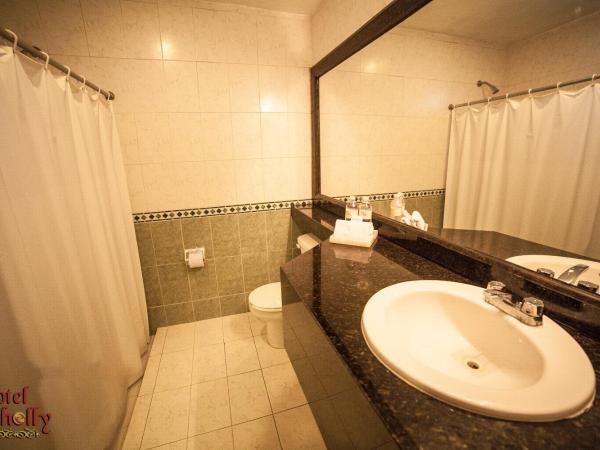 Hotel Holly : photo 9 de la chambre chambre lit king-size standard