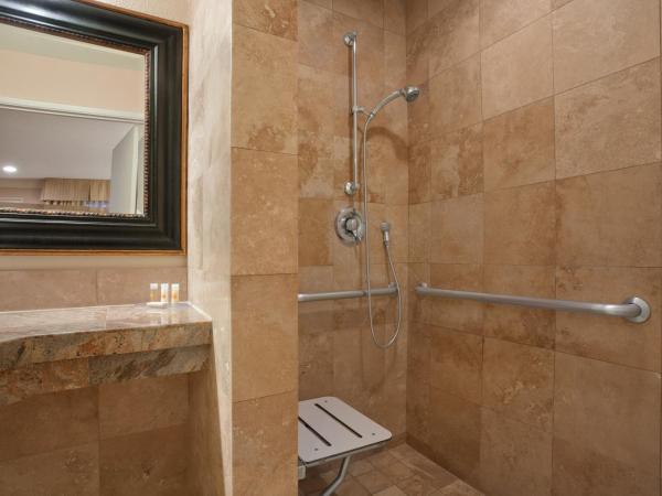 Days Inn by Wyndham San Diego Hotel Circle : photo 6 de la chambre chambre lit king-size pour personnes à mobilité réduite/malentendantes - non-fumeurs