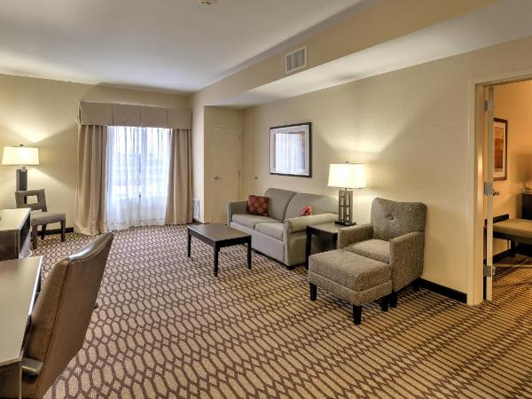 Holiday Inn North Quail Springs, an IHG Hotel : photo 2 de la chambre suite lit king-size