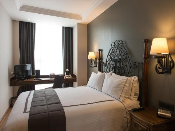 Zocalo Central & Rooftop Mexico City : photo 2 de la chambre chambre standard lit queen-size