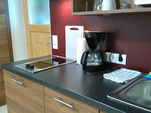 Pension Elisabeth - Rooms & Apartments : photo 7 de la chambre studio