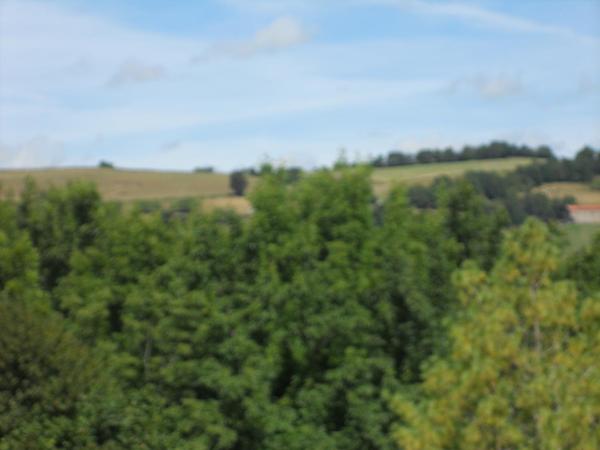 Château de la Moissetie : photo 6 de la chambre suite 2 chambres