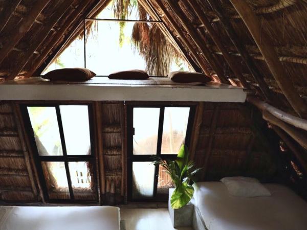 Tuup Jungle : photo 4 de la chambre appartement supérieur