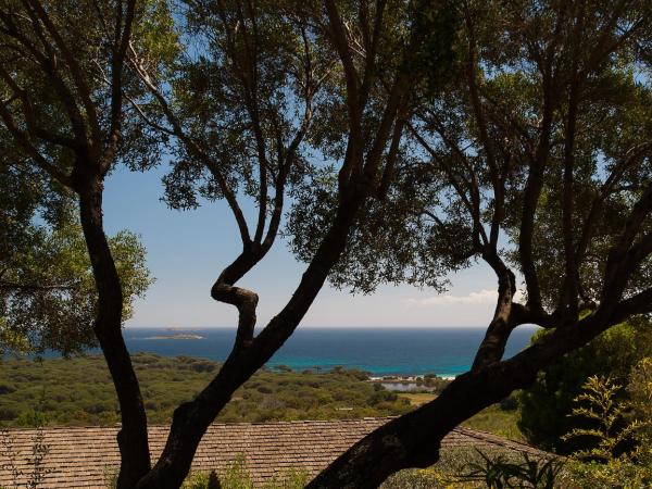 Chambres d'Hôtes Littariccia : photo 9 de la chambre chambre double - vue sur mer