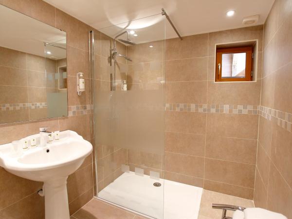 Hotel Saint Georges : photo 5 de la chambre appartement 1 chambre