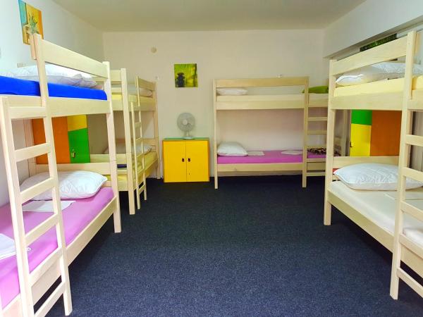 Crazy House Hostel : photo 2 de la chambre lit dans dortoir mixte de 8 lits