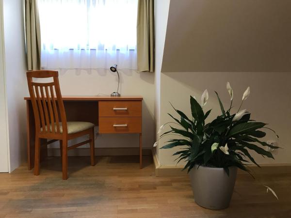 Old Prague House : photo 10 de la chambre maisonnette avec terrasse b