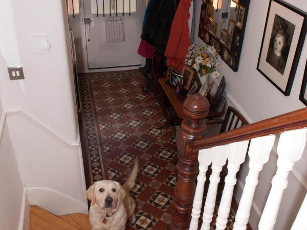 Muswell Hill B&B : photo 1 de la chambre chambre deluxe double ou lits jumeaux