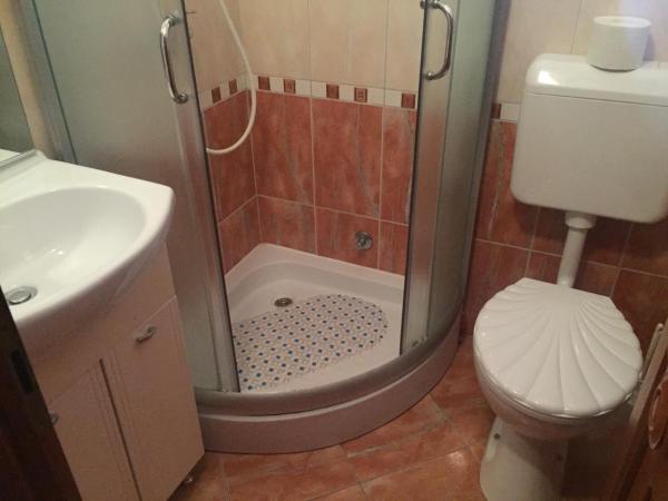 Villa Veli Vrh : photo 7 de la chambre double room with shower and shared kitchen