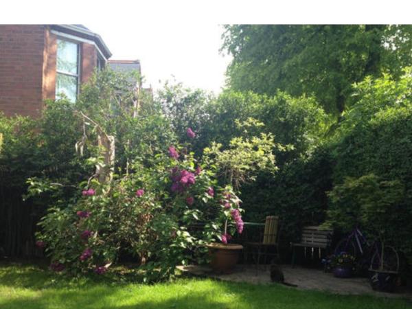 Brackenberry : photo 1 de la chambre chambre double deluxe