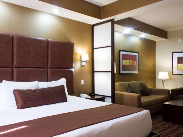 Best Western PREMIER Monterrey Aeropuerto : photo 1 de la chambre chambre lit king-size - non-fumeurs