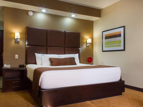 Best Western PREMIER Monterrey Aeropuerto : photo 4 de la chambre chambre lit king-size - non-fumeurs