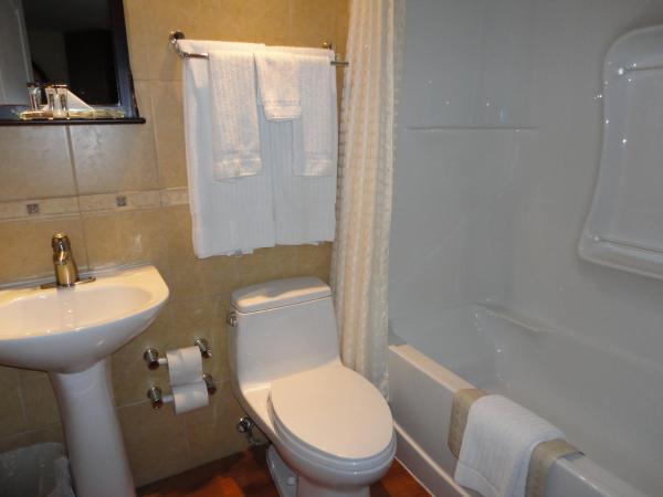 Chateau Louis Hotel & Conference Centre : photo 2 de la chambre chambre lit king-size