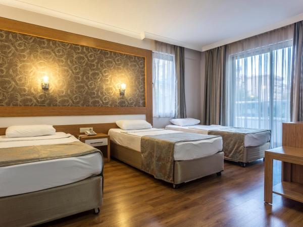 Lonicera City Hotel : photo 7 de la chambre chambre double ou lits jumeaux standard
