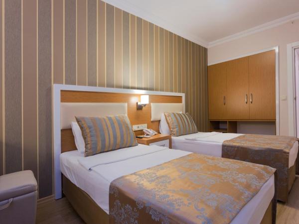 Lonicera City Hotel : photo 6 de la chambre chambre double ou lits jumeaux standard