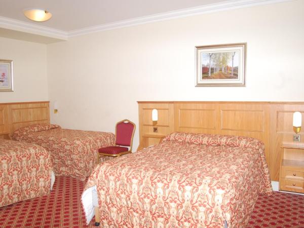 Viking Hotel : photo 6 de la chambre chambre lits jumeaux
