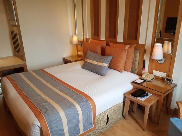 Dia Park Premier : photo 4 de la chambre chambre lit king-size de luxe - non-fumeurs