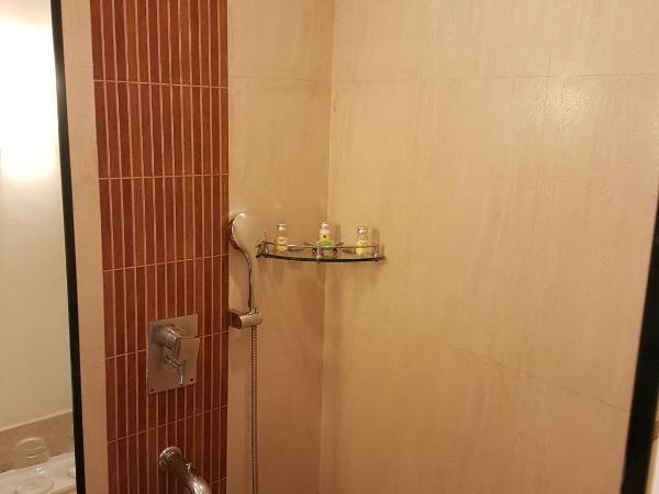 Dia Park Premier : photo 5 de la chambre chambre lit king-size de luxe - non-fumeurs