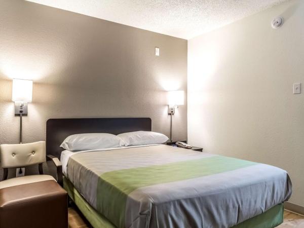 Studio 6-Dallas, TX - Northwest : photo 2 de la chambre chambre lit queen-size - non-fumeurs