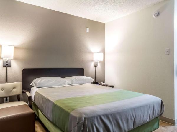Studio 6-Dallas, TX - Northwest : photo 3 de la chambre chambre lit queen-size - non-fumeurs