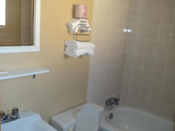 Oasis Motel by The Falls : photo 1 de la chambre chambre avec 2 grands lits queen-size 