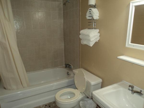 Oasis Motel by The Falls : photo 9 de la chambre suite familiale