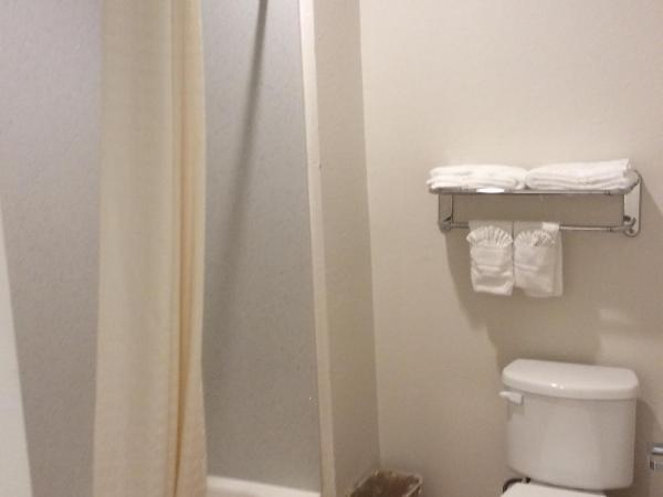 Regency Inn & Suites- NW Houston : photo 2 de la chambre chambre lit king-size avec canapé - non-fumeurs