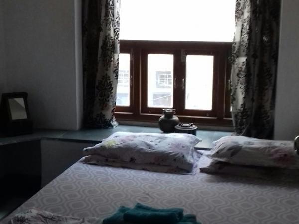 Silver Moon Haveli : photo 3 de la chambre appartement deluxe