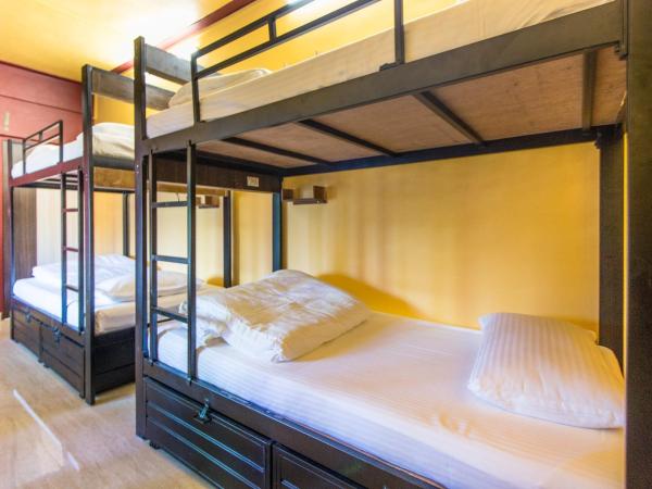 Backpackers Villa Mumbai : photo 1 de la chambre lit dans dortoir mixte de 8 lits avec climatisation