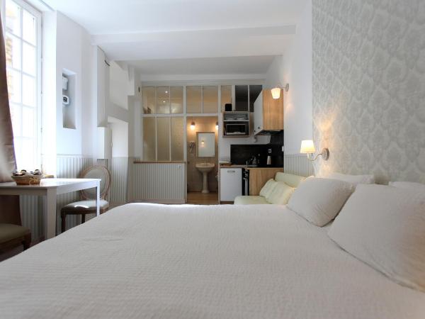 Hotel Saint Georges : photo 2 de la chambre appartement