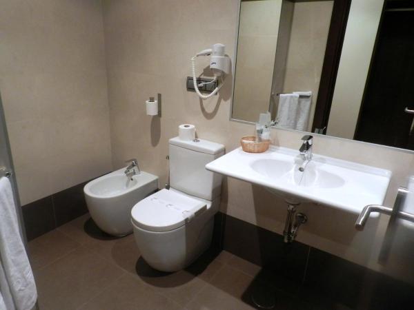 Hotel Río Hortega : photo 5 de la chambre chambre double ou lits jumeaux