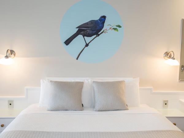 Boulevard Waters : photo 7 de la chambre studio - premier Étage