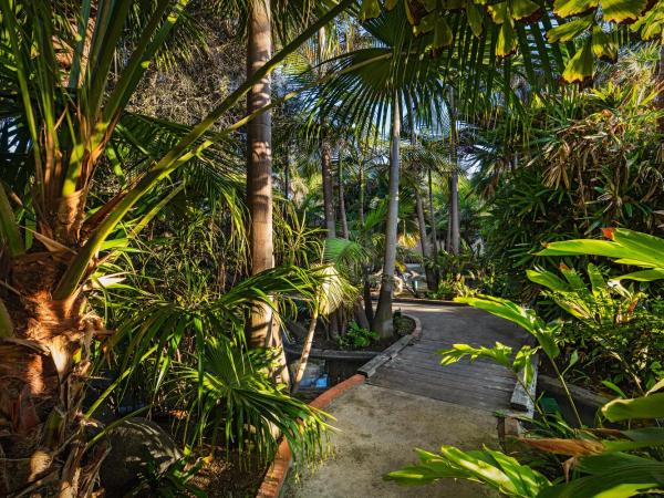 Bahia Resort Hotel : photo 4 de la chambre hébergement lit king-size - vue sur jardin 