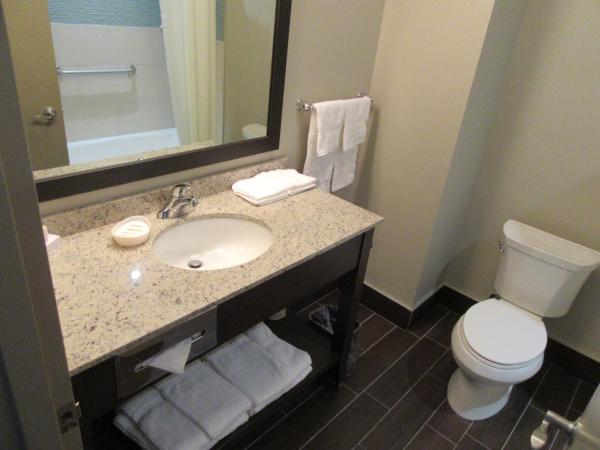 Best Western Plus Hotel Montreal : photo 8 de la chambre chambre 2 lits queen-size - non-fumeurs