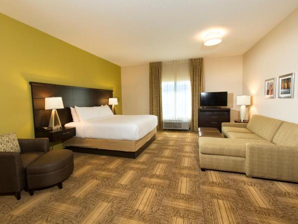Staybridge Suites Orlando at SeaWorld, an IHG Hotel : photo 3 de la chambre studio lit king-size avec canapé-lit (sans frais de service)