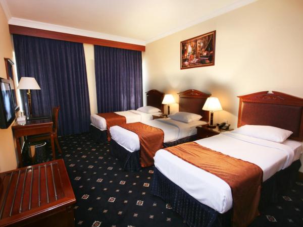 Mount Royal Hotel : photo 3 de la chambre chambre triple deluxe