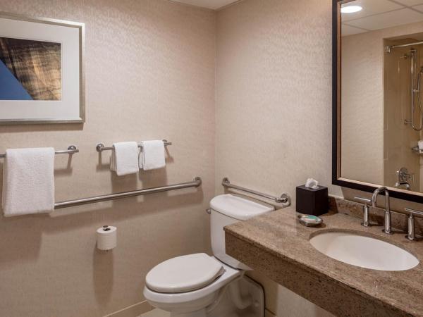 Hyatt Regency Saint Louis at The Arch : photo 5 de la chambre chambre double avec 2 lits doubles et douche accessible en fauteuil roulant - adaptée aux personnes à mobilité réduite