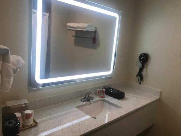 Econo Lodge Inn & Suites Houston Willowbrook : photo 9 de la chambre chambre familiale