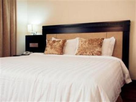 Hotel S Damansara : photo 1 de la chambre suite vip