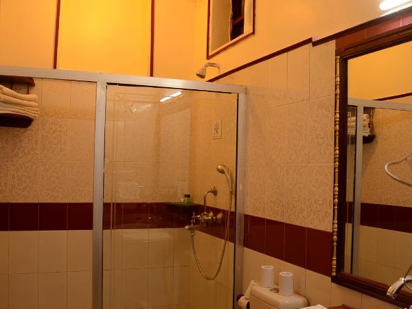 Hotel Vimal Heritage : photo 1 de la chambre chambre double ou lits jumeaux royale de luxe