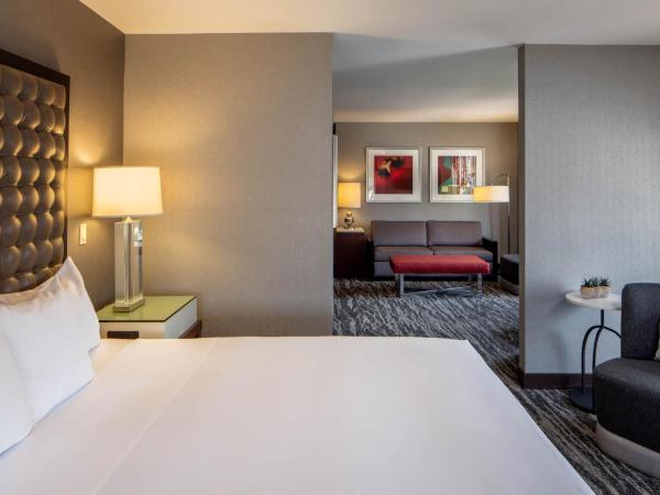 Hyatt Regency Saint Louis at The Arch : photo 2 de la chambre suite junior lit king-size