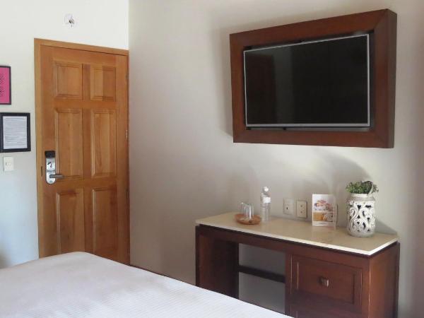 Casa Rosa Gran Hotel Boutique : photo 2 de la chambre king suite with view