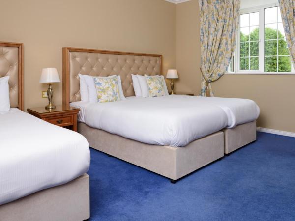 Old Weir Lodge : photo 4 de la chambre chambre triple