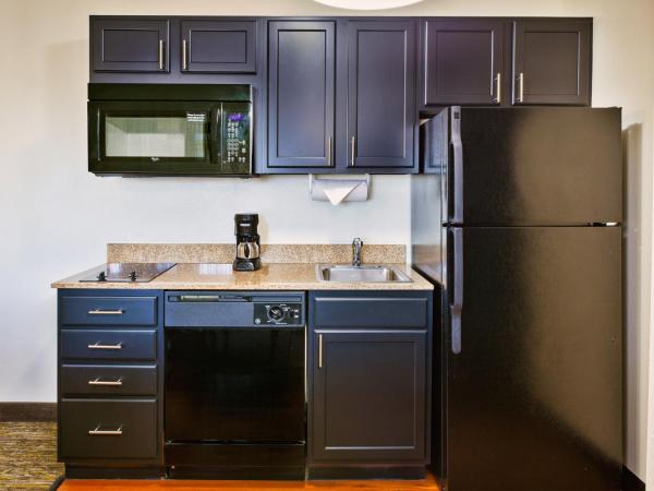 Candlewood Suites Indianapolis Airport, an IHG Hotel : photo 3 de la chambre queen studio suite with roll in shower