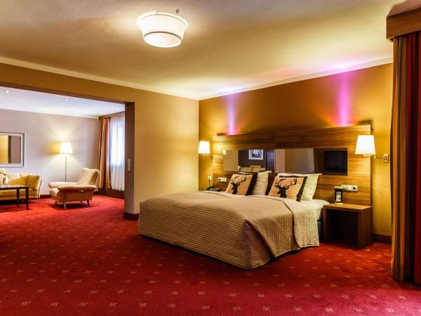 Hotel Salzburg : photo 1 de la chambre suite