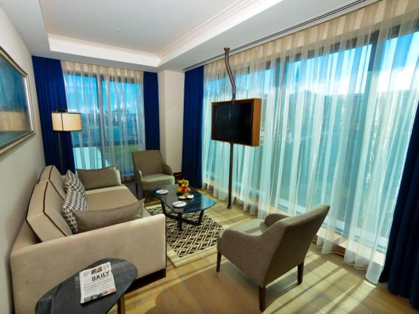Golden Tulip Istanbul Bayrampasa : photo 8 de la chambre suite - vue sur ville
